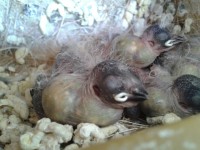 /album/galeria-de-fotos/a2012-11-21-15-46-08-jpg/